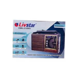 Caixa de Som Radio Modelo Retrô Lelong LE-609